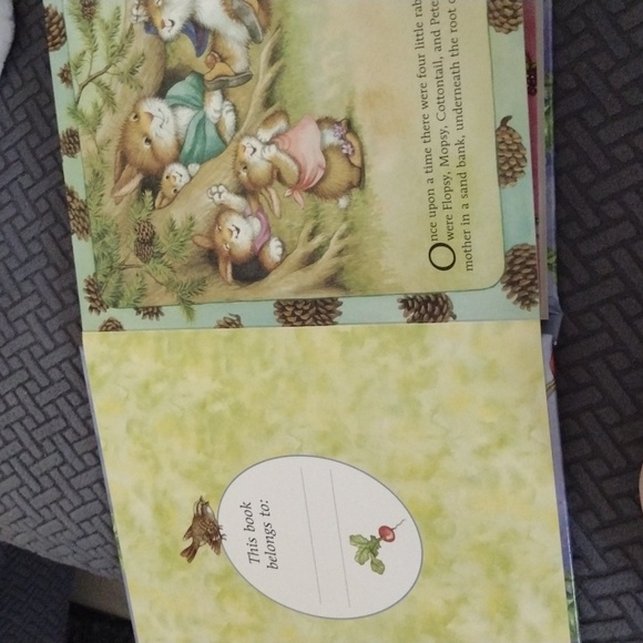 Peter Rabbit board book. - Picture 3 of 4